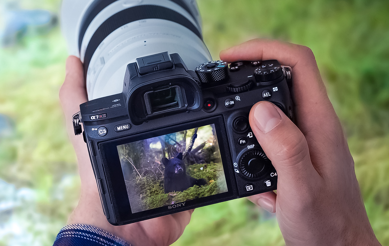 Фотоапарати - купити по вигідним цінам в офіційному інтернет-магазині Sony